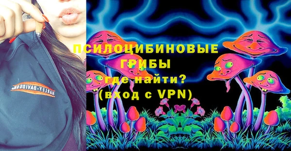 мдпв Арсеньев