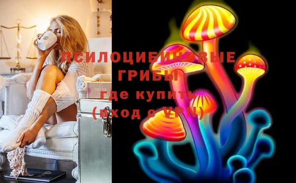 круглые Аркадак