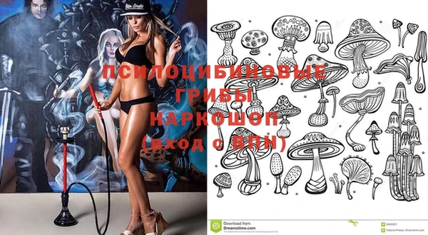 круглые Аркадак
